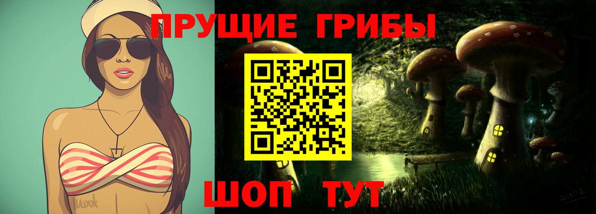 Канаш  Псилоцибиновые грибы мухоморы  Вход с VPN 